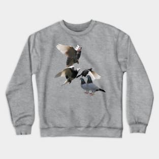 Pigeons Crewneck Sweatshirt